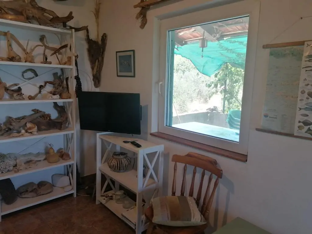 Sunce 15 - Kornatica