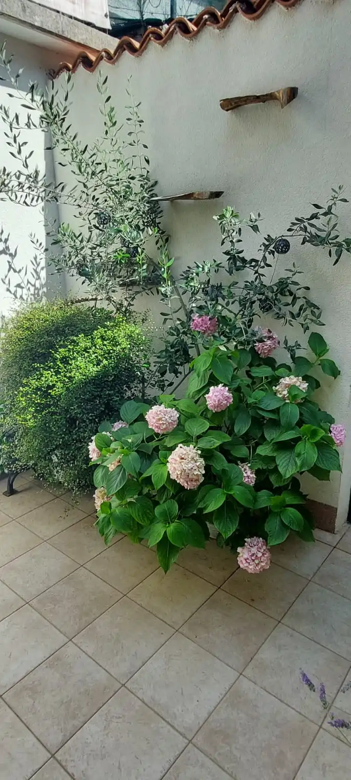 Selo 4+0 02 - Kornatica