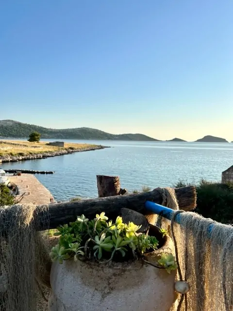 Lučica – NOVO! 02 - Kornatica