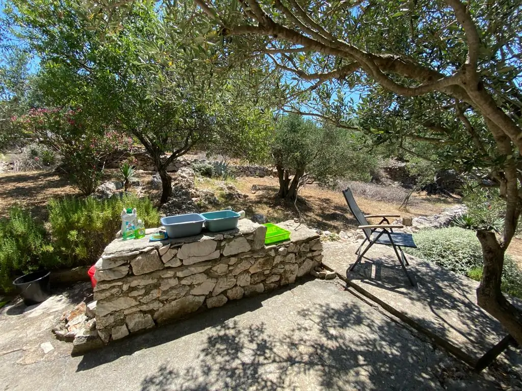 Divna 06 - Kornatica