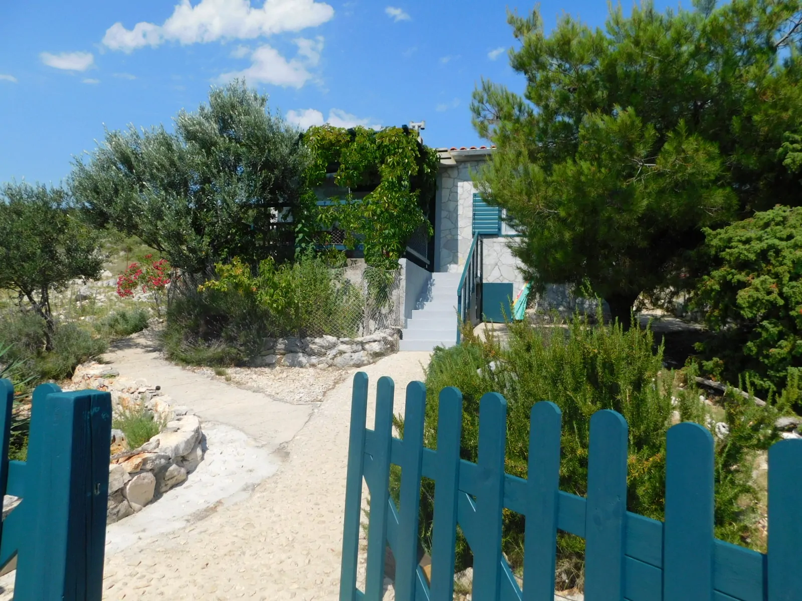 Žut 2 09 - Kornatica