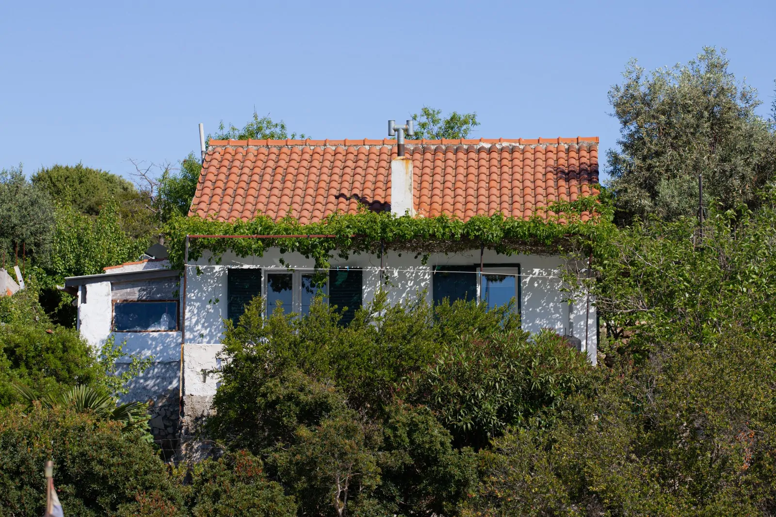 Josip 13 - Kornatica