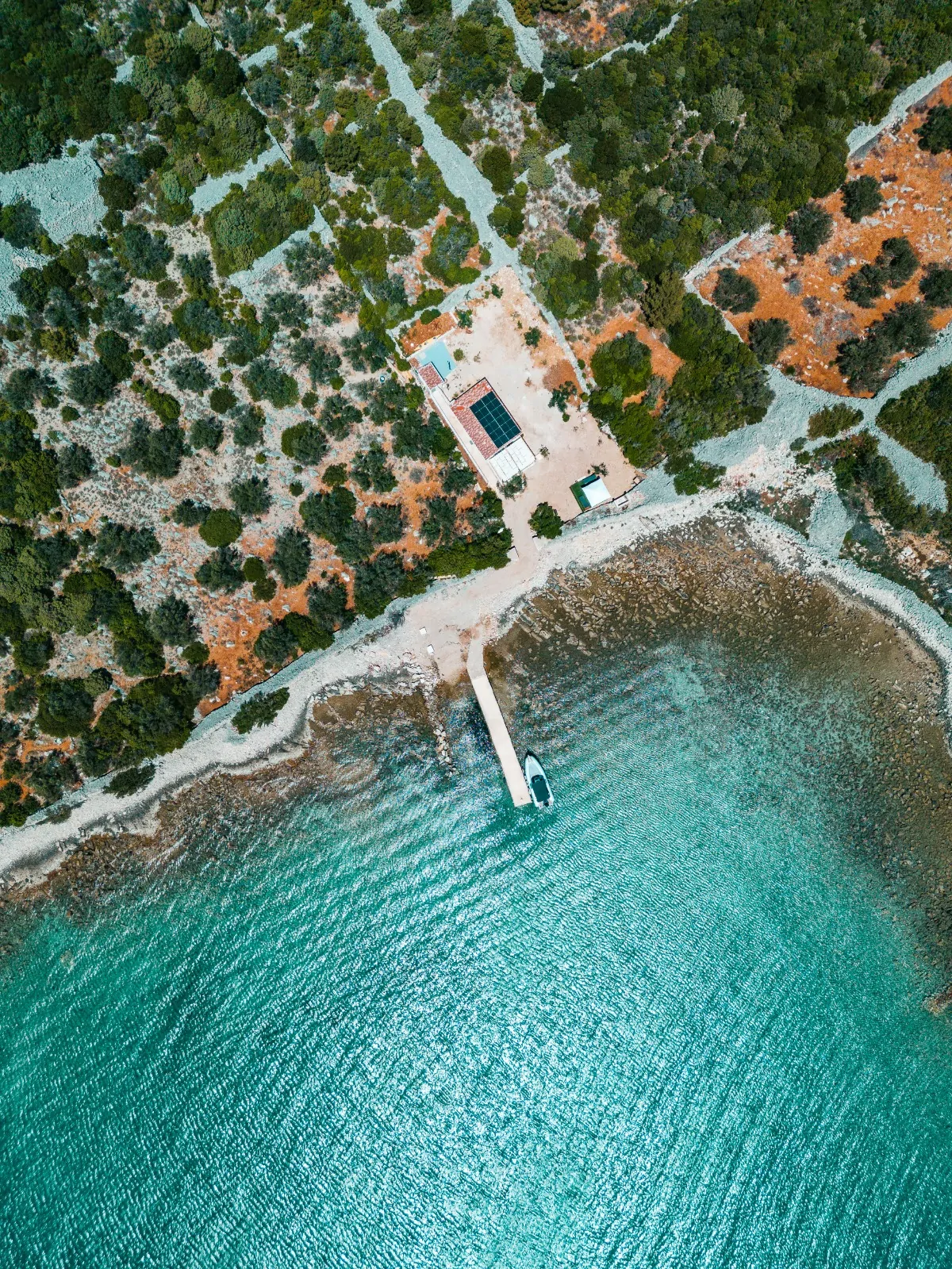 Dominik 13 - Kornatica