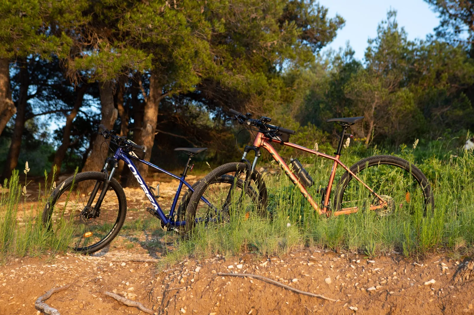 RENT A BIKE 12 - Kornatica