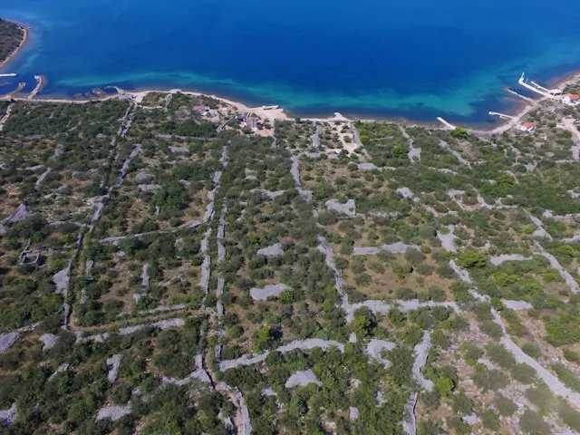 Rafaela Modrave 14 - Kornatica